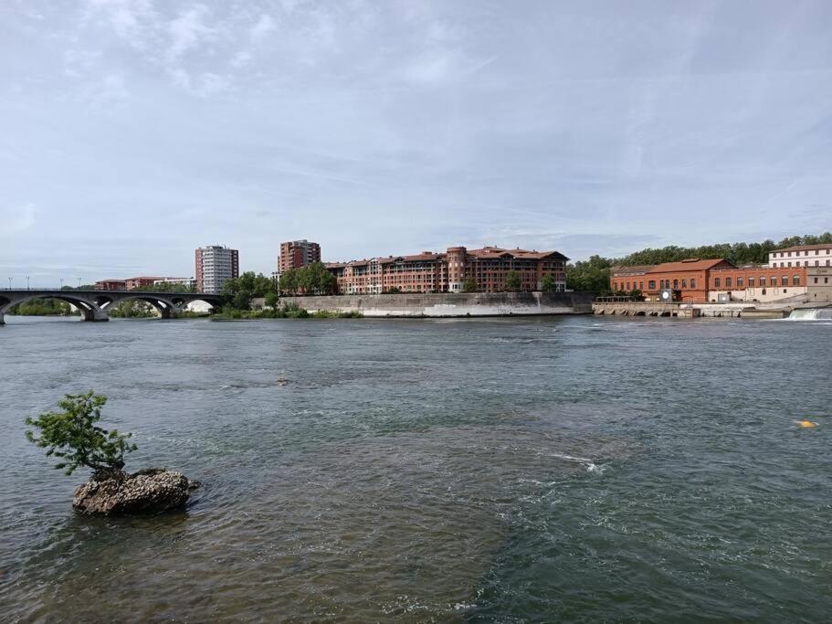 Appartement T3 Lumineux - Berges De La Garonne - Parking à Toulouse Extérieur photo